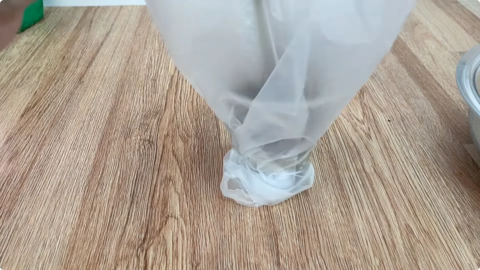 The Surprising Method to Propagate Roses Easily screenshot 7