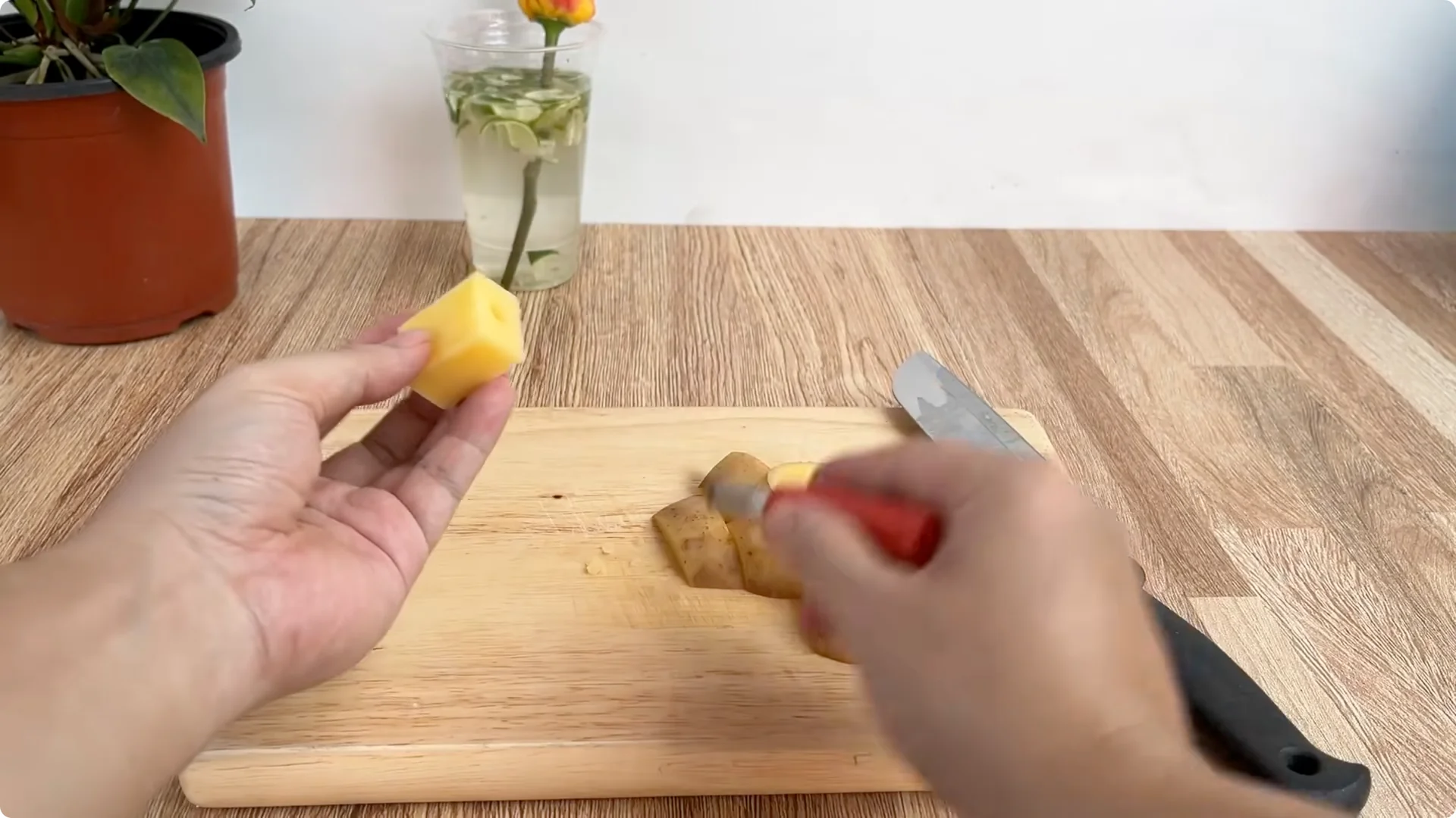 The Surprising Role Lemons Play in Propagating Roses screenshot 3