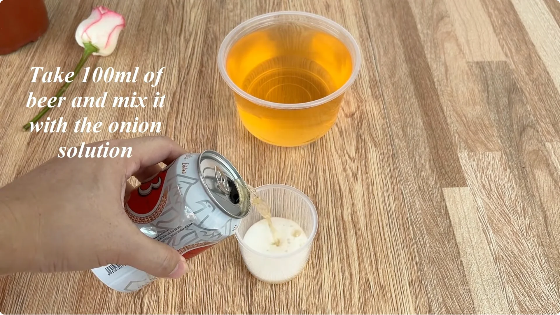 What Happens When You Insert a Rose Branch Into an Onion? screenshot 6