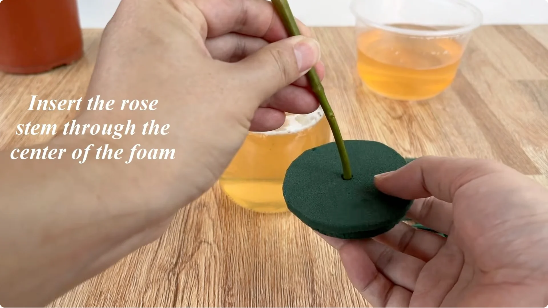 What Happens When You Insert a Rose Branch Into an Onion? screenshot 7