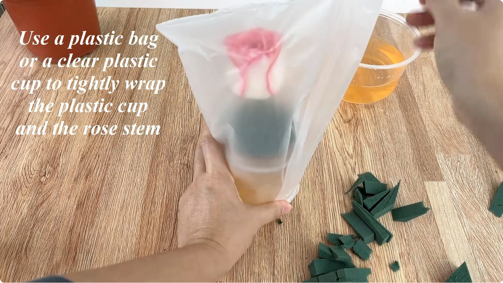 What Happens When You Insert a Rose Branch Into an Onion? screenshot 8