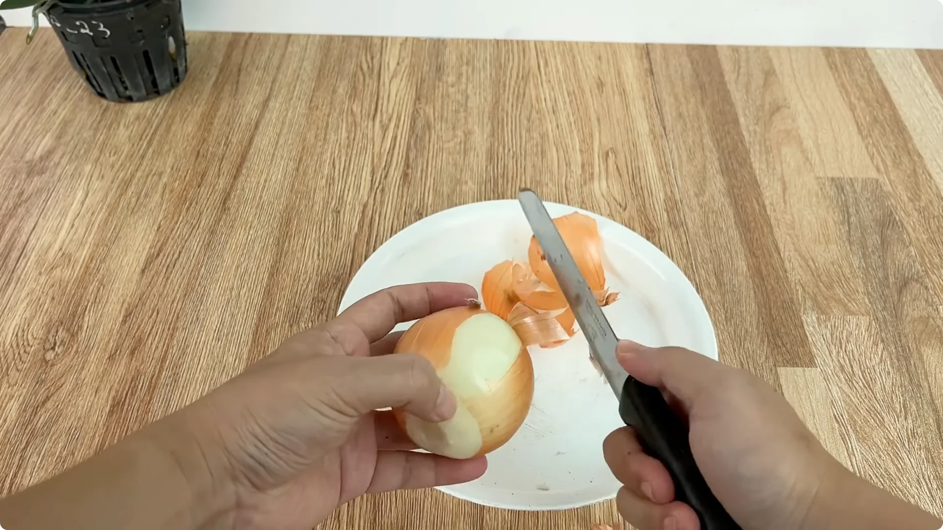 Discover How Easy Rose Propagation Can Really Be screenshot 2