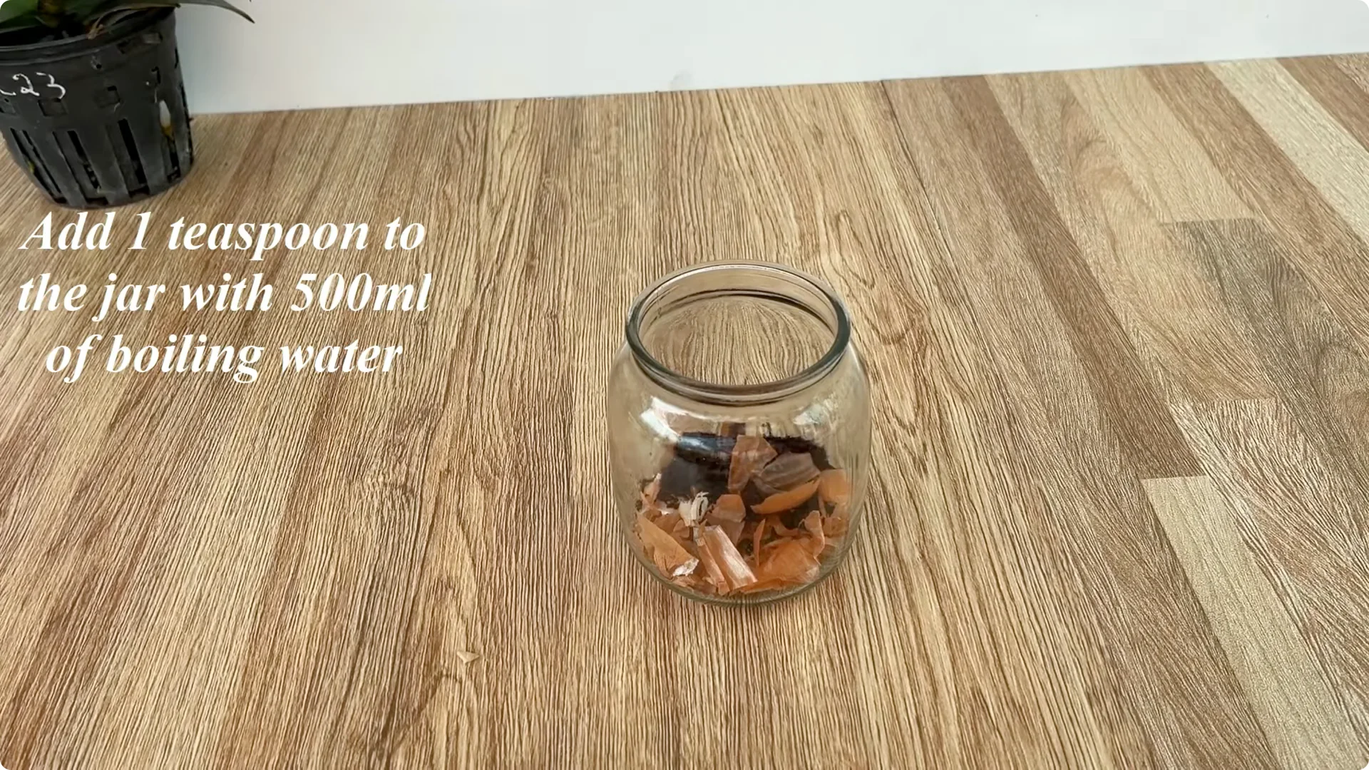 Discover How Easy Rose Propagation Can Really Be screenshot 3