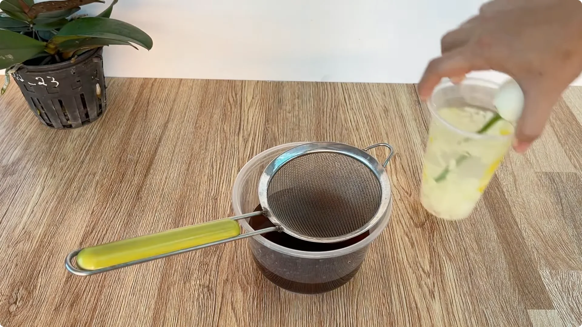 Discover How Easy Rose Propagation Can Really Be screenshot 6