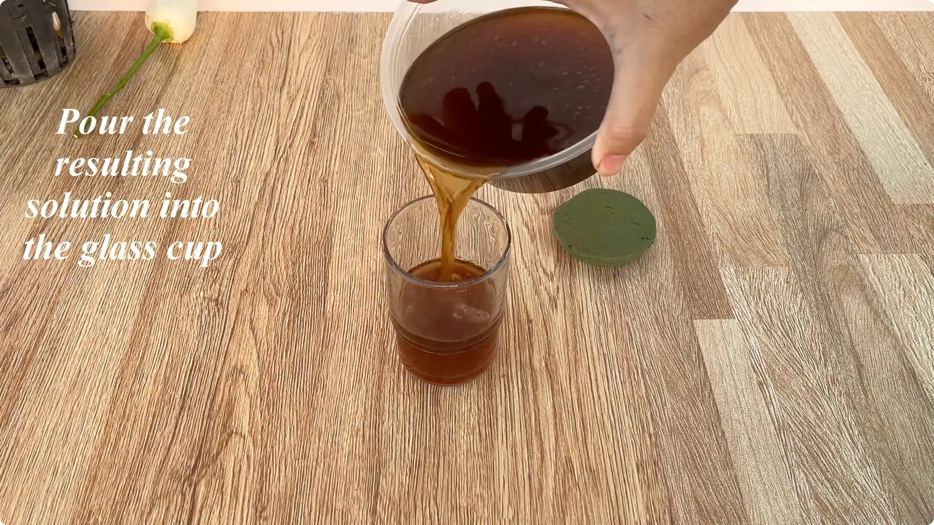 Discover How Easy Rose Propagation Can Really Be screenshot 7