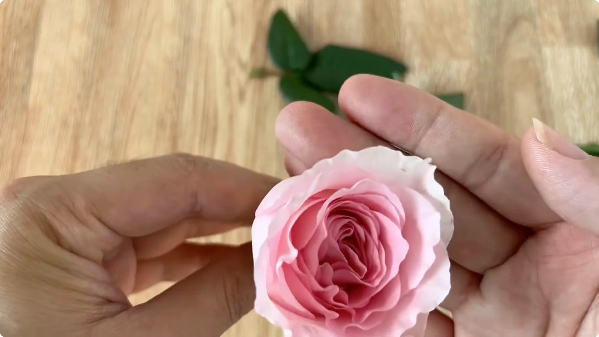 Discover the Little-Known Method to Propagate Roses Easily screenshot 5