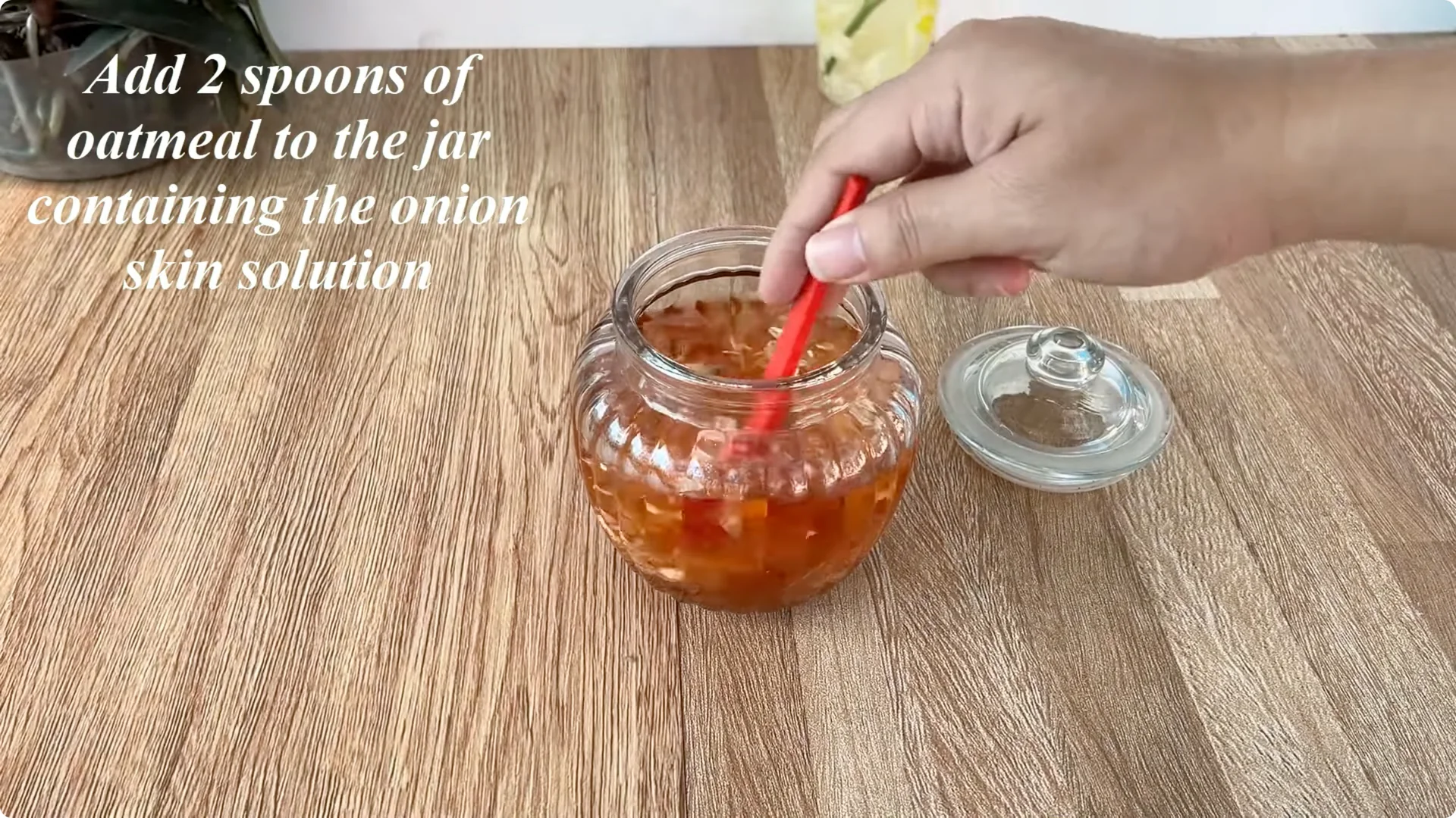 Discover the Little-Known Method to Propagate Roses Easily screenshot 6