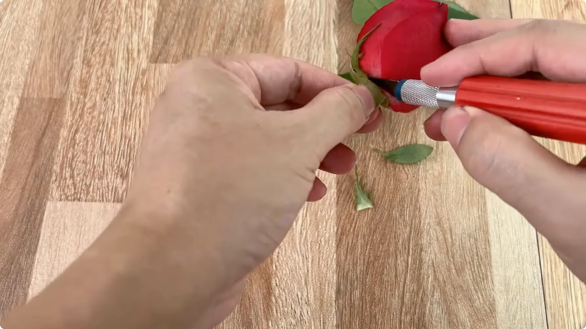 Discover the Simple Method to Propagate Roses Easily screenshot 2