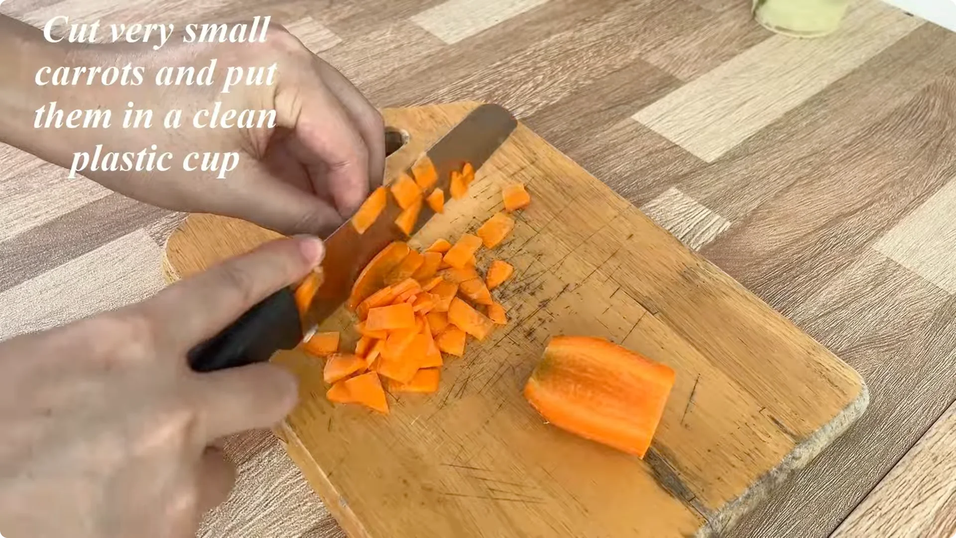 Discover the Simple Method to Propagate Roses Easily screenshot 4