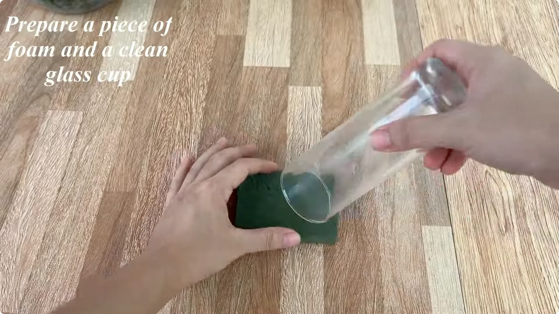 Discover the Simple Method to Propagate Roses Easily screenshot 6