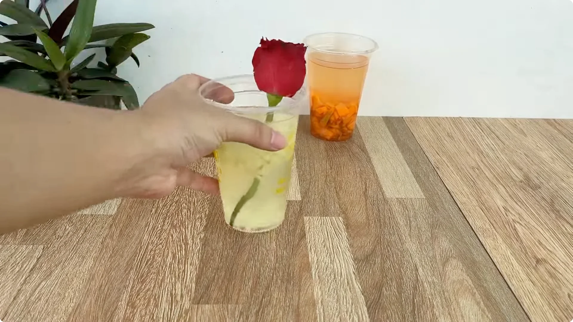 Discover the Simple Method to Propagate Roses Easily screenshot 7