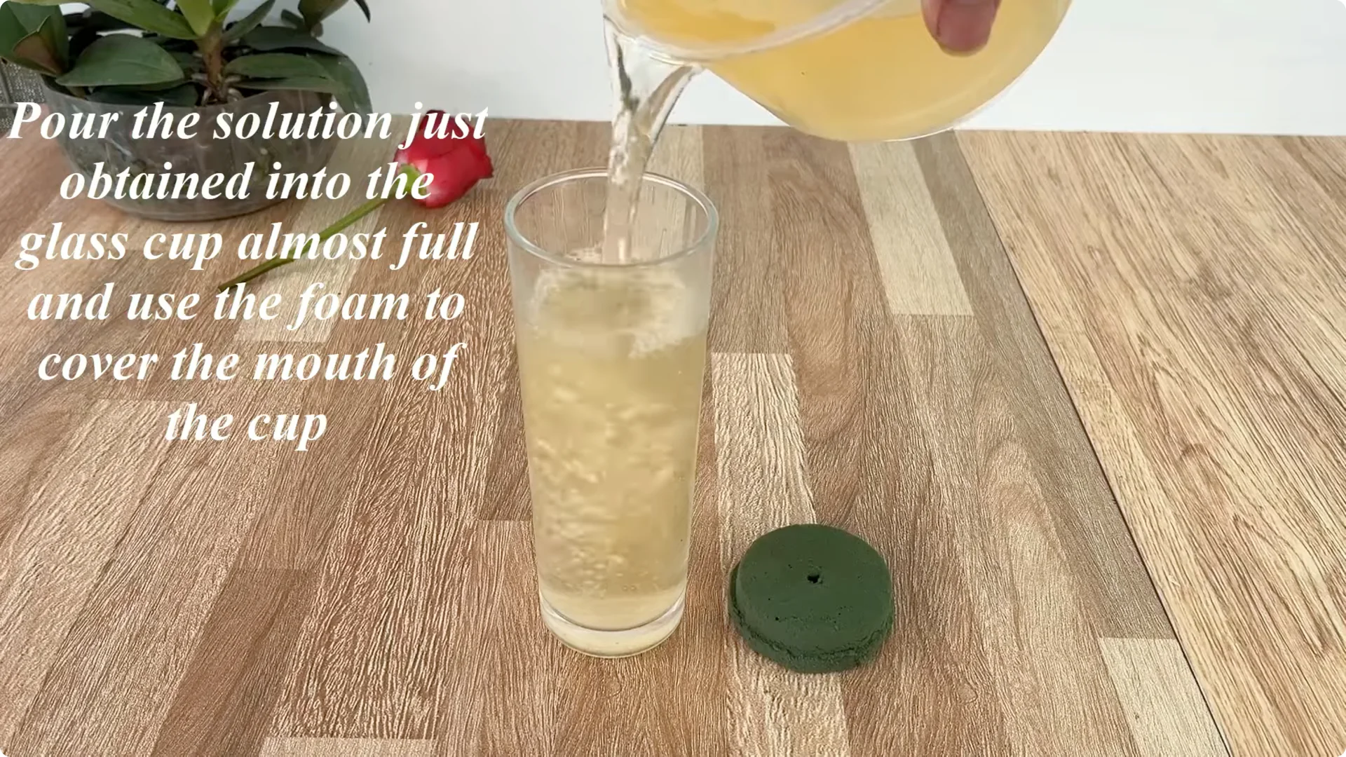 Discover the Simple Method to Propagate Roses Easily screenshot 9