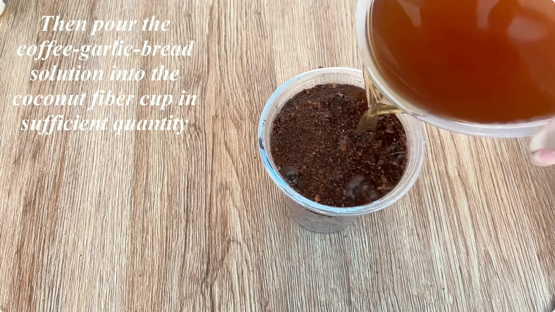 Discover the Surprising Method to Propagate Roses Easily screenshot 9