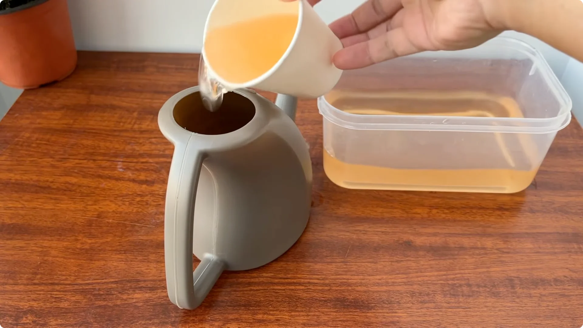 How 1 Cup a Week Transforms Any Rose Plant’s Growth screenshot 12