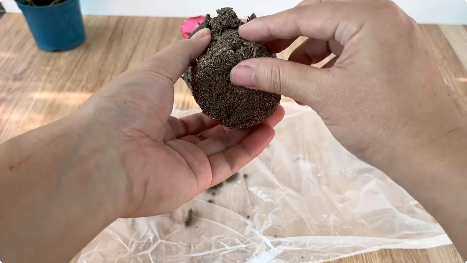 How Did a Rose Branch Grow 1001 Roots and Flowers Overnight? screenshot 6