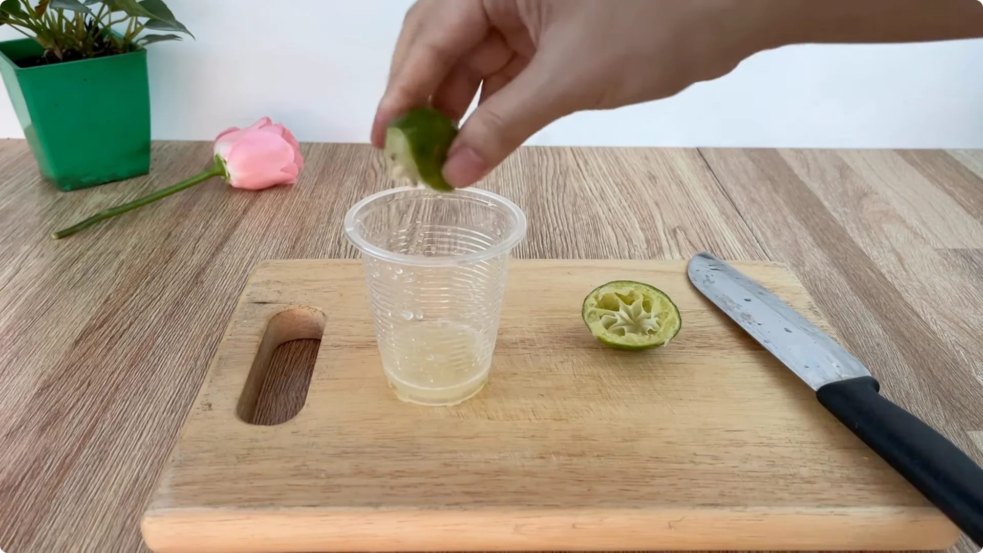 How Did This Rose Branch Root and Sprout So Fast? screenshot 3