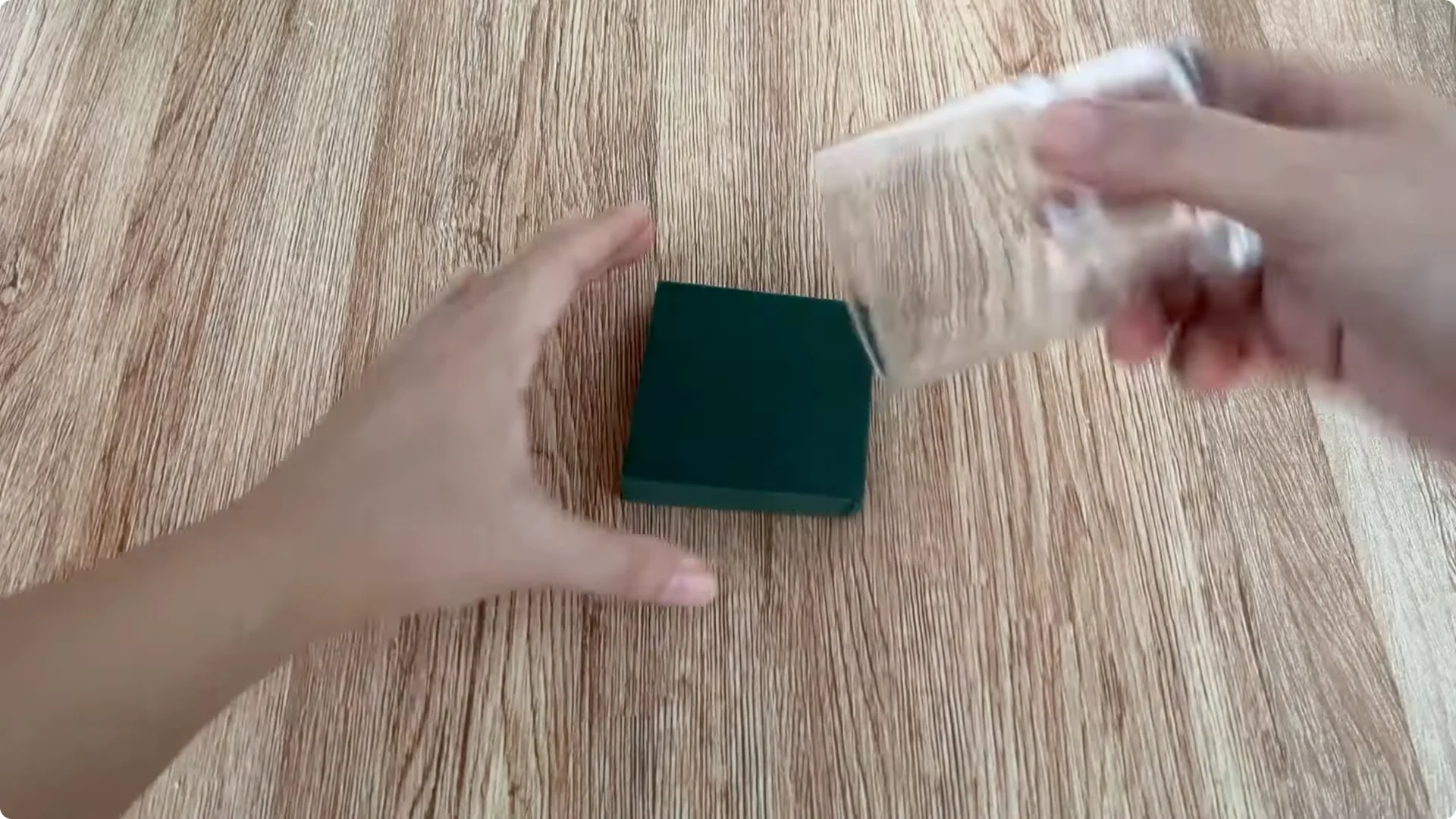 How Did This Rose Branch Root and Sprout So Fast? screenshot 5