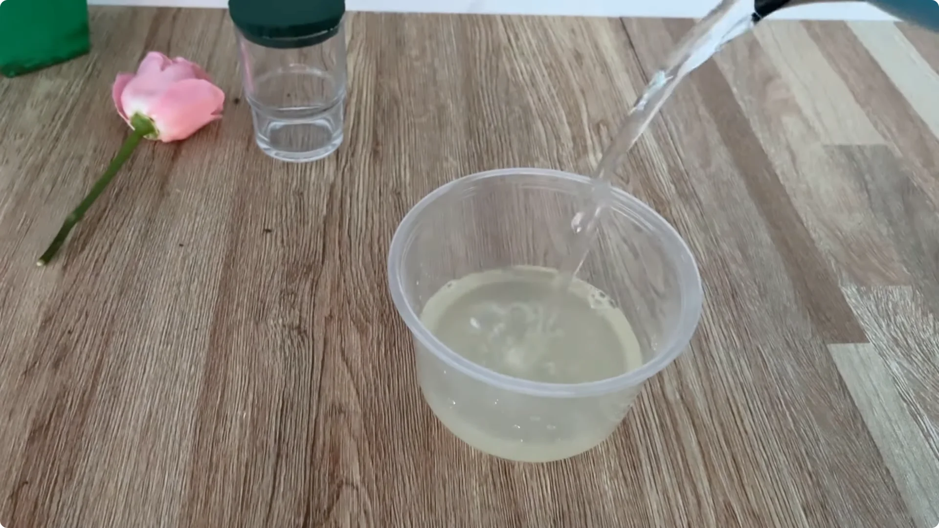 How Did This Rose Branch Root and Sprout So Fast? screenshot 6