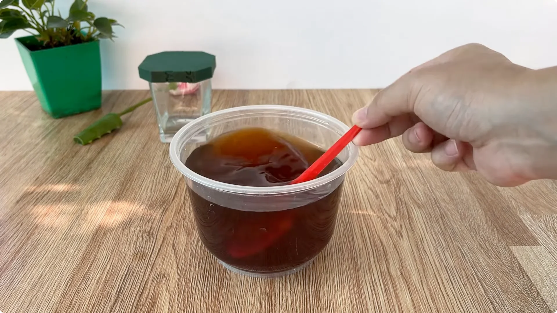 How Did This Rose Branch Suddenly Take Root and Bloom? screenshot 10