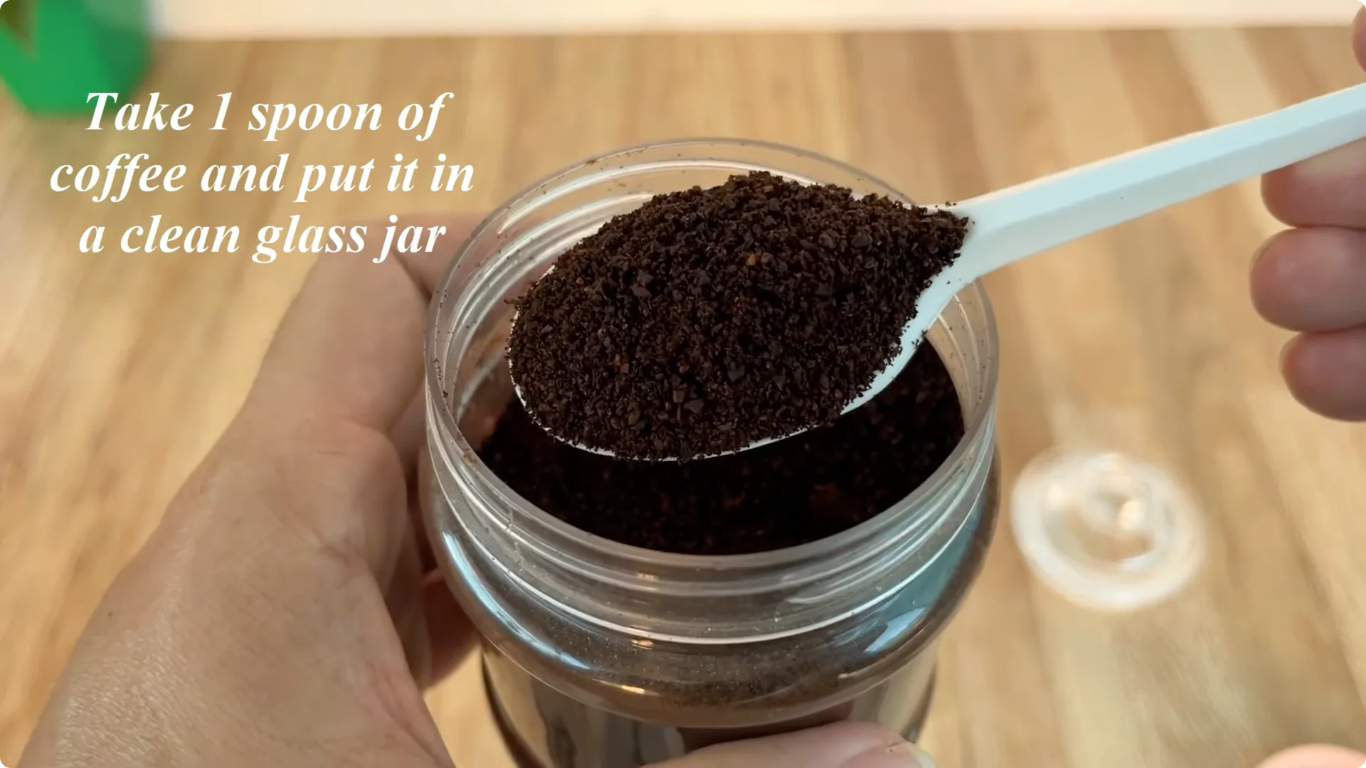 How Did This Rose Branch Suddenly Take Root and Bloom? screenshot 2