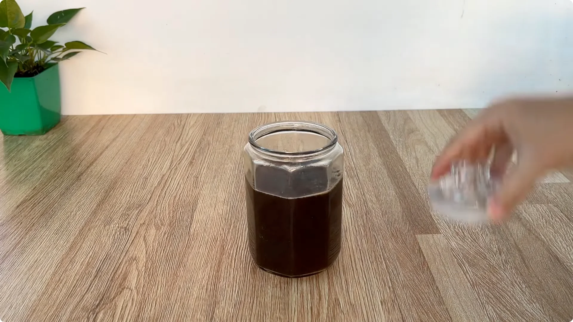 How Did This Rose Branch Suddenly Take Root and Bloom? screenshot 3