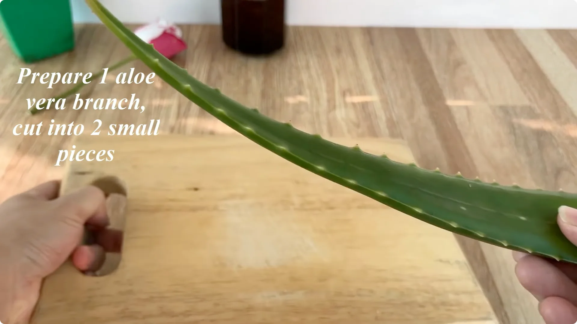 How Did This Rose Branch Suddenly Take Root and Bloom? screenshot 5