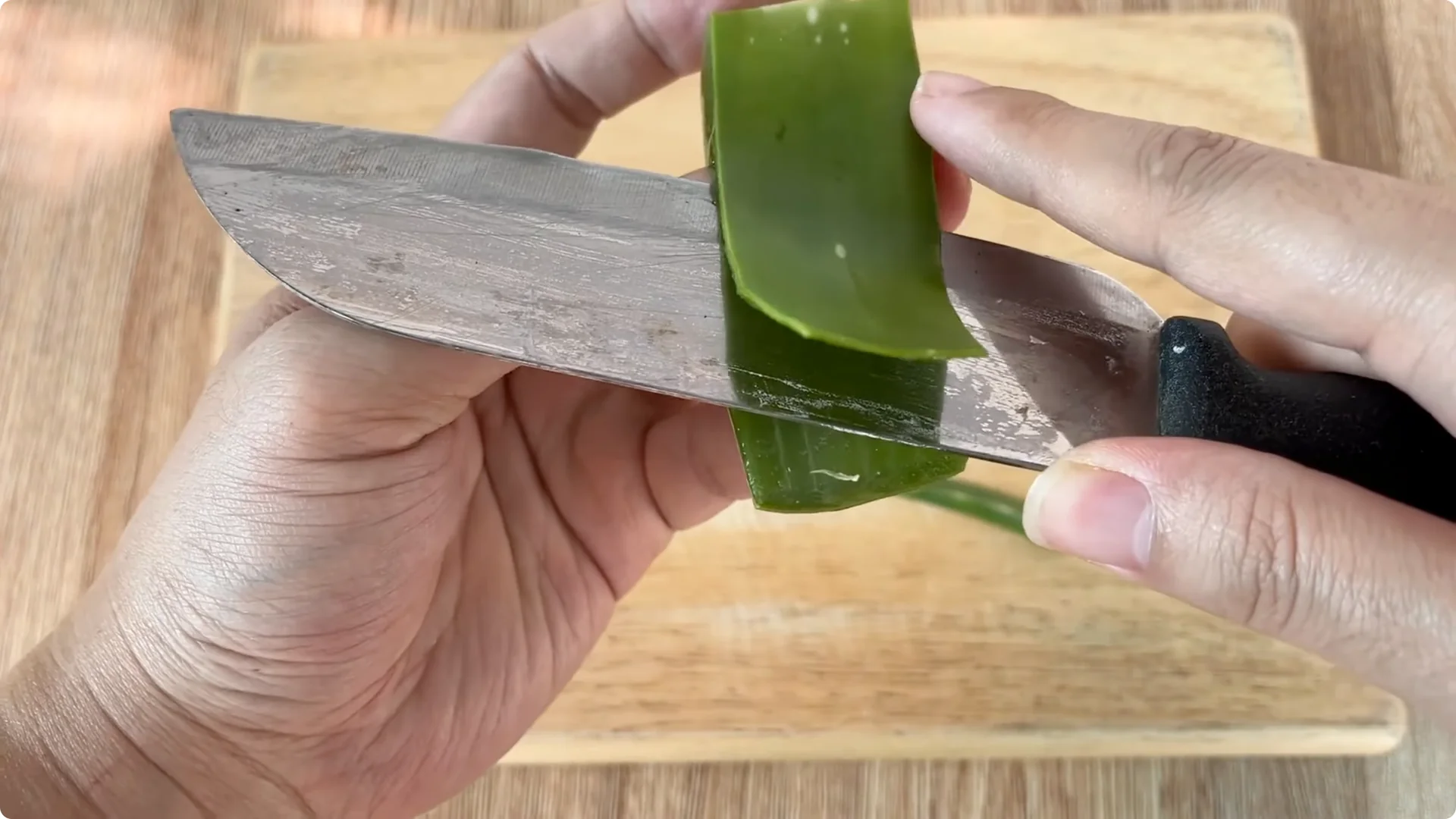 How Did This Rose Branch Suddenly Take Root and Bloom? screenshot 6