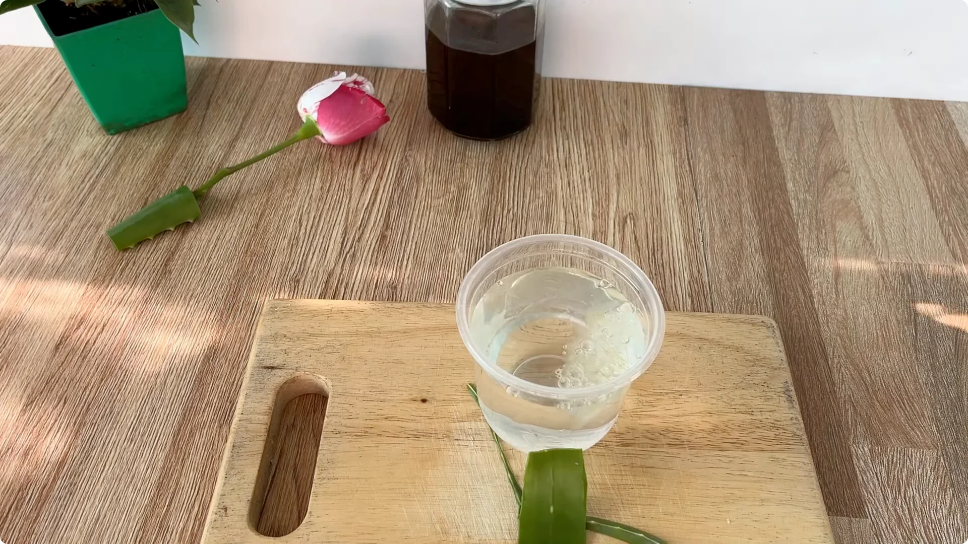 How Did This Rose Branch Suddenly Take Root and Bloom? screenshot 7