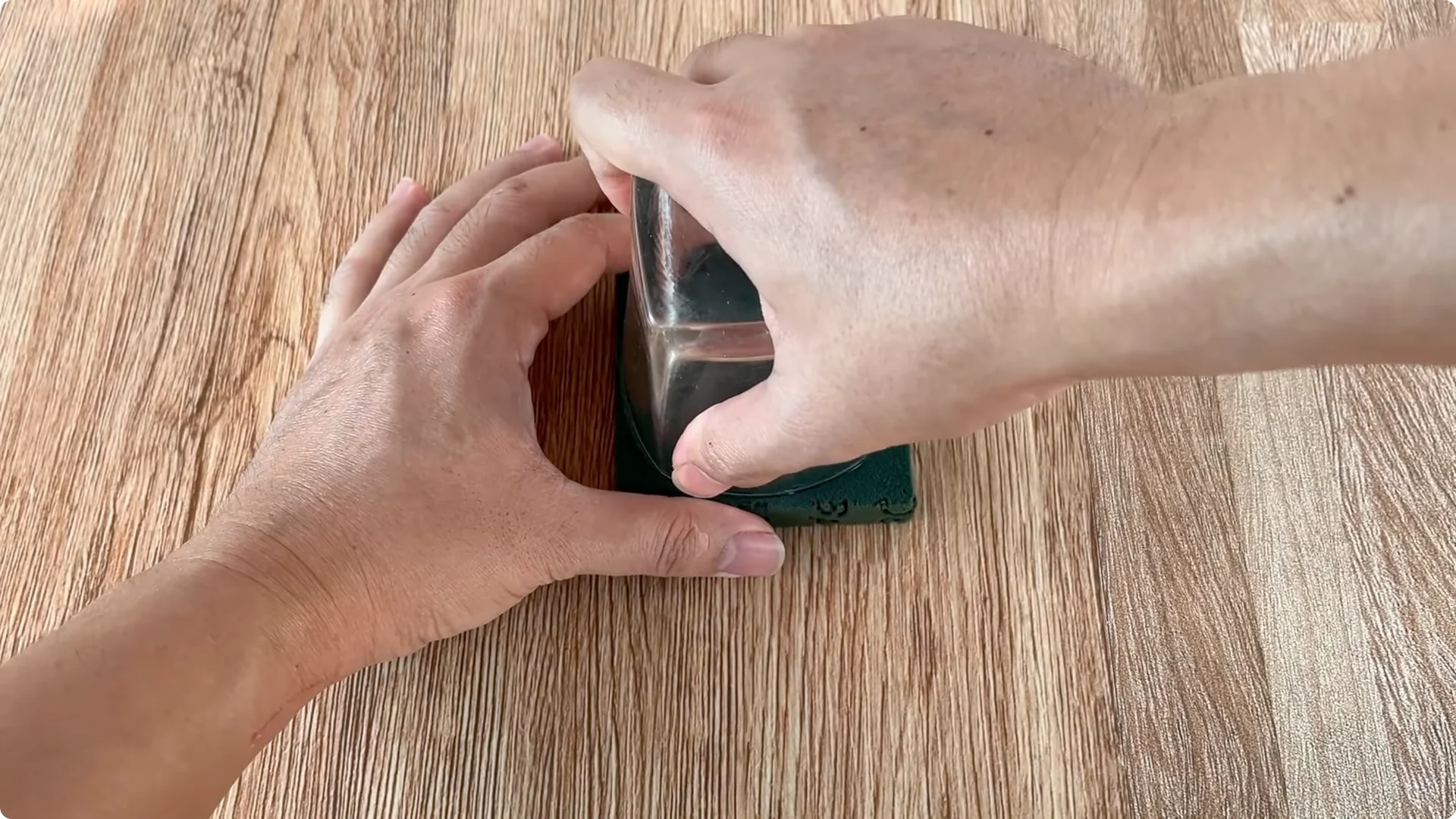 How Did This Rose Branch Suddenly Take Root and Bloom? screenshot 8