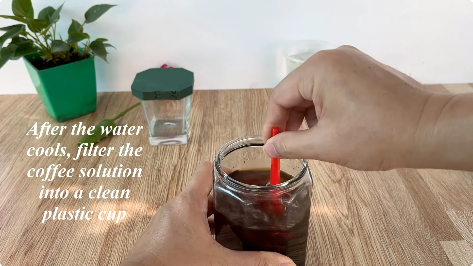 How Did This Rose Branch Suddenly Take Root and Bloom? screenshot 9