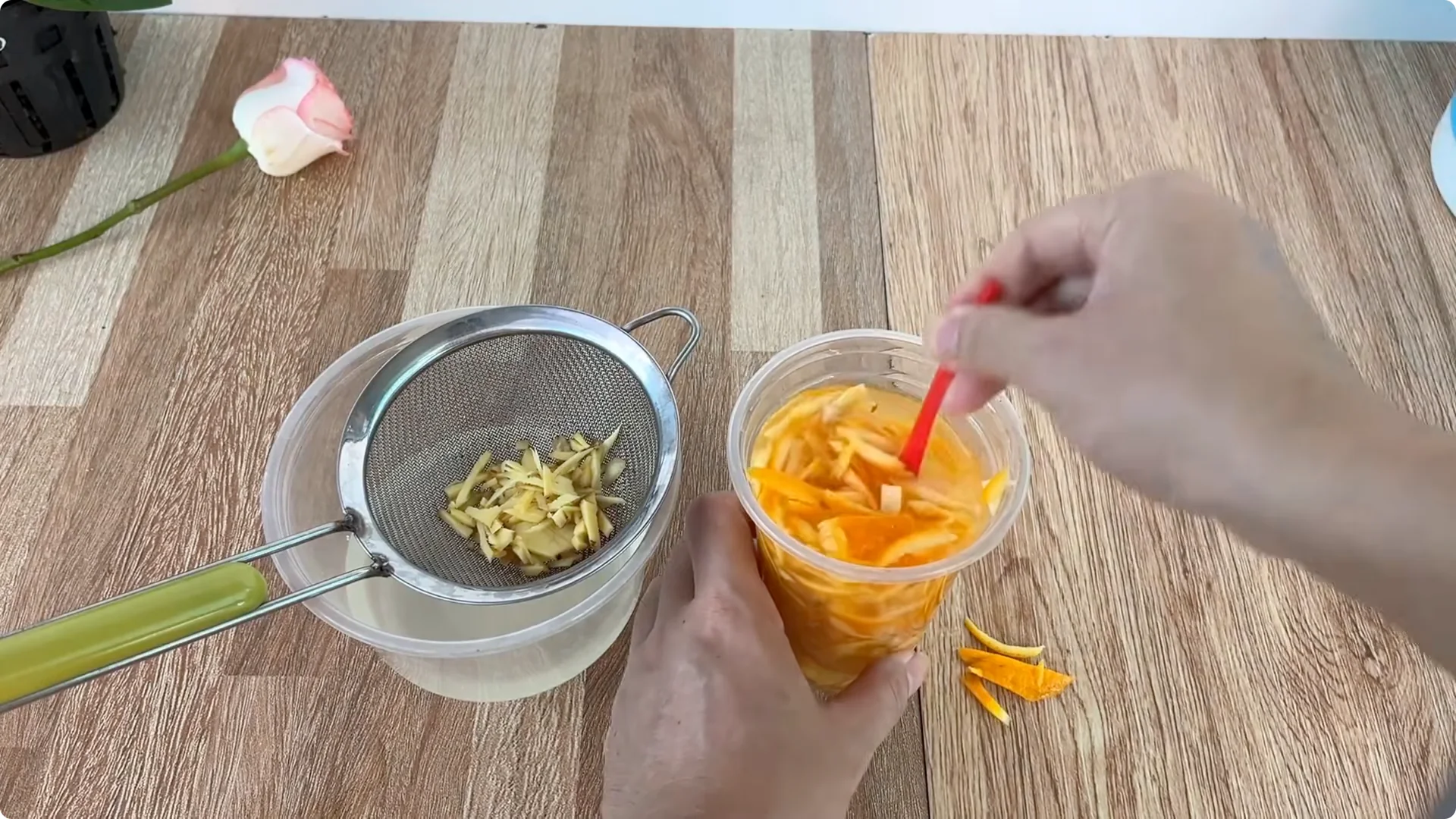 How Does an Orange Peel Grow a Rose Branch with 1001 Roots? screenshot 4