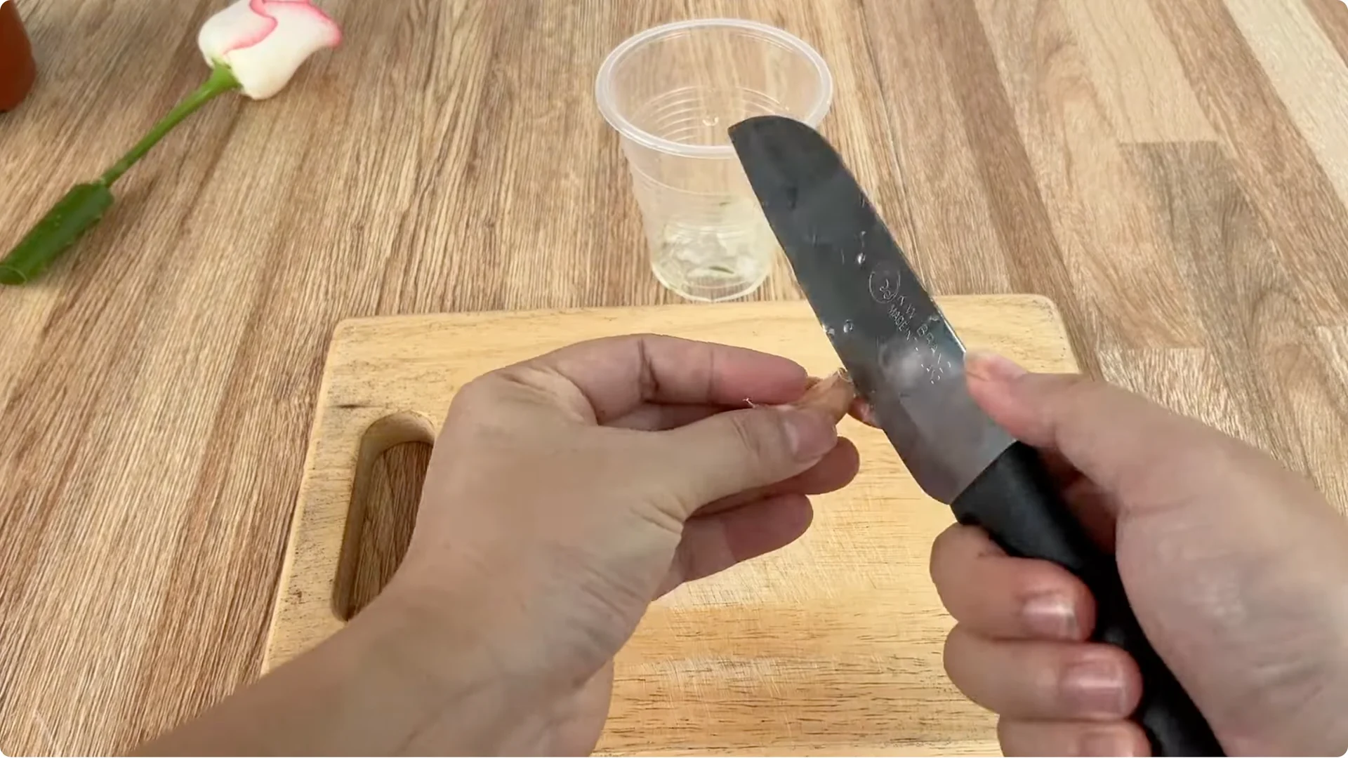 How Garlic Can Help You Propagate Roses Easily screenshot 4