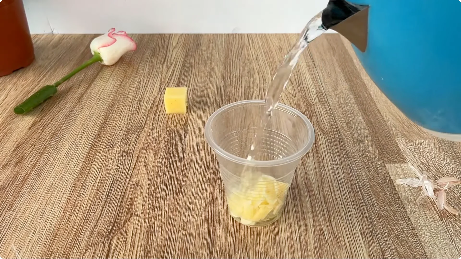 How Garlic Can Help You Propagate Roses Easily screenshot 6