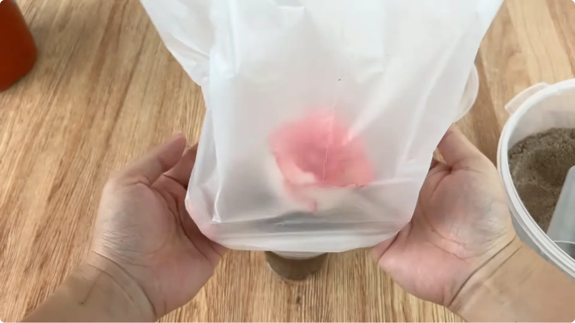 How Garlic Can Help You Propagate Roses Easily screenshot 8