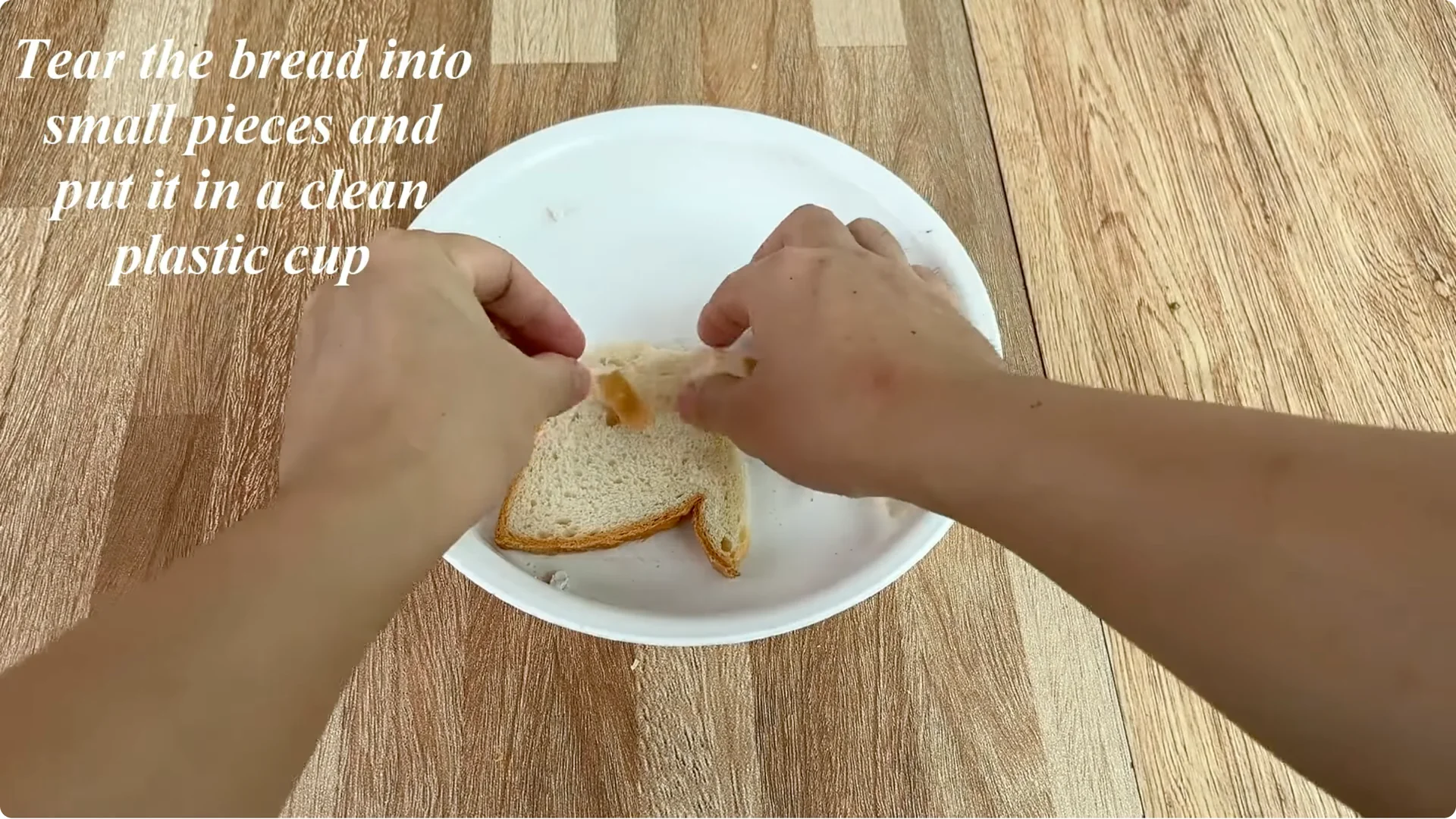 How Garlic Helped the Rose Branch Suddenly Bloom Abundantly screenshot 11