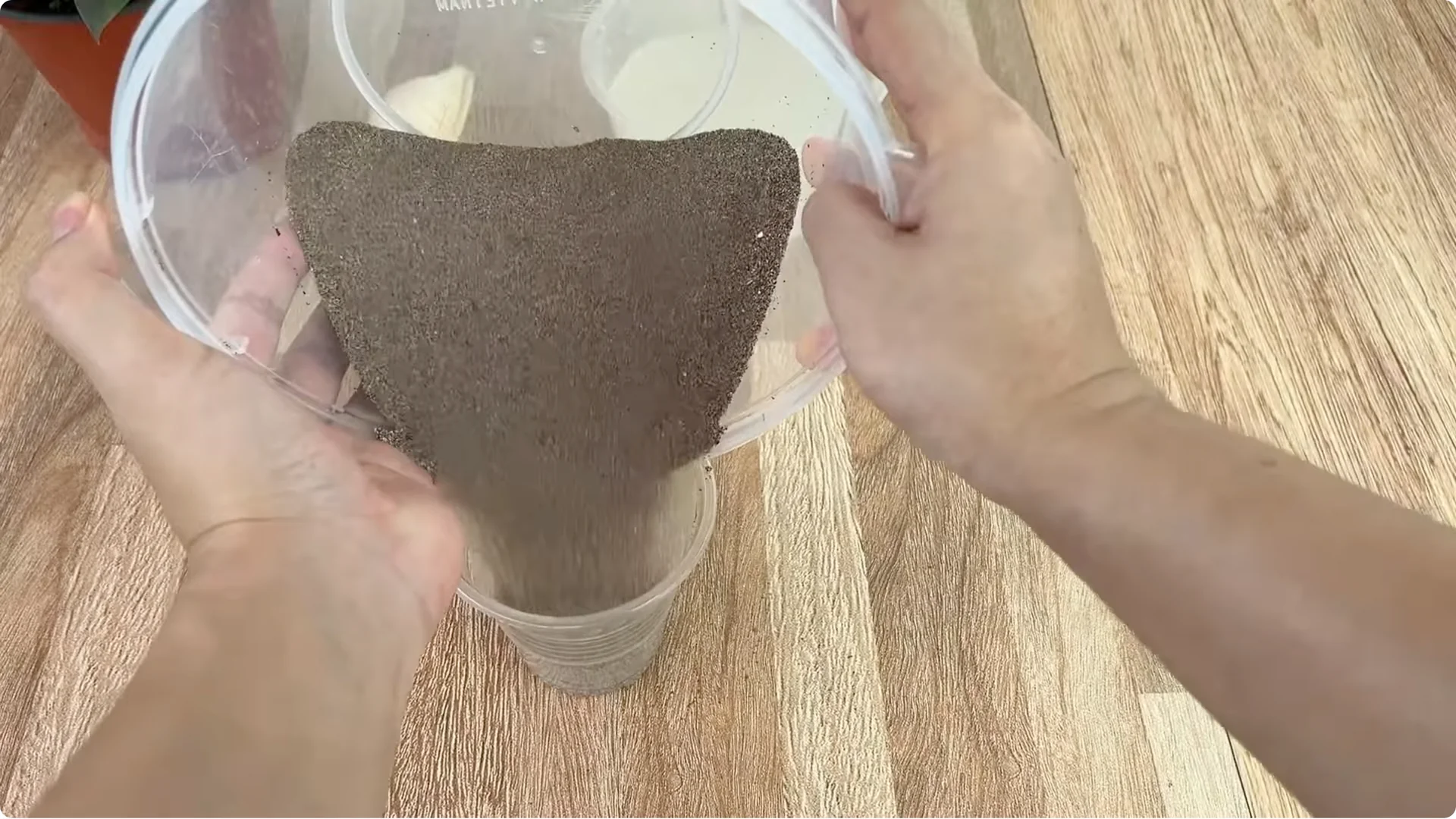 How Garlic Helped the Rose Branch Suddenly Bloom Abundantly screenshot 13