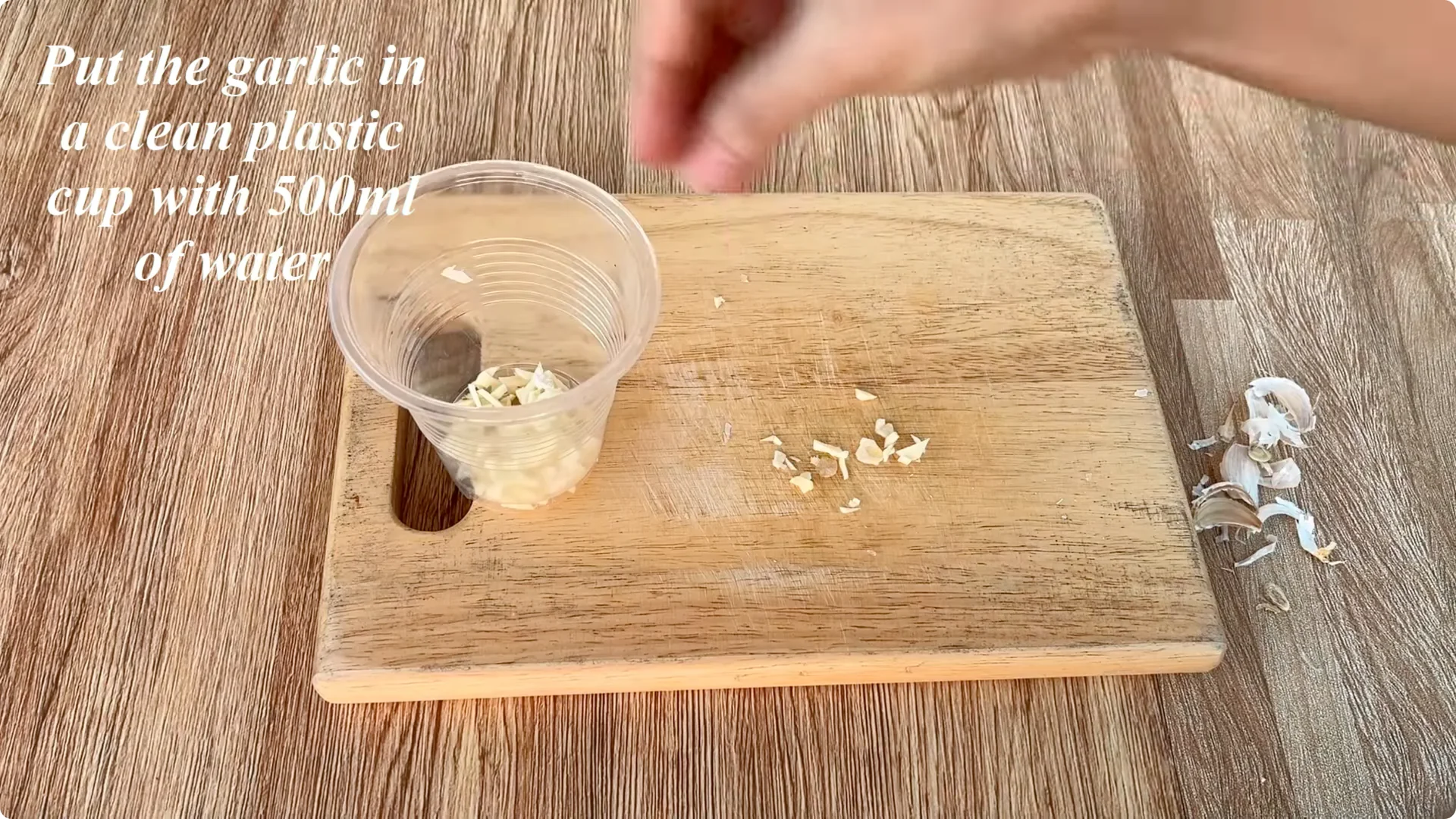 How Garlic Transforms Rose Propagation with Fast Results screenshot 3