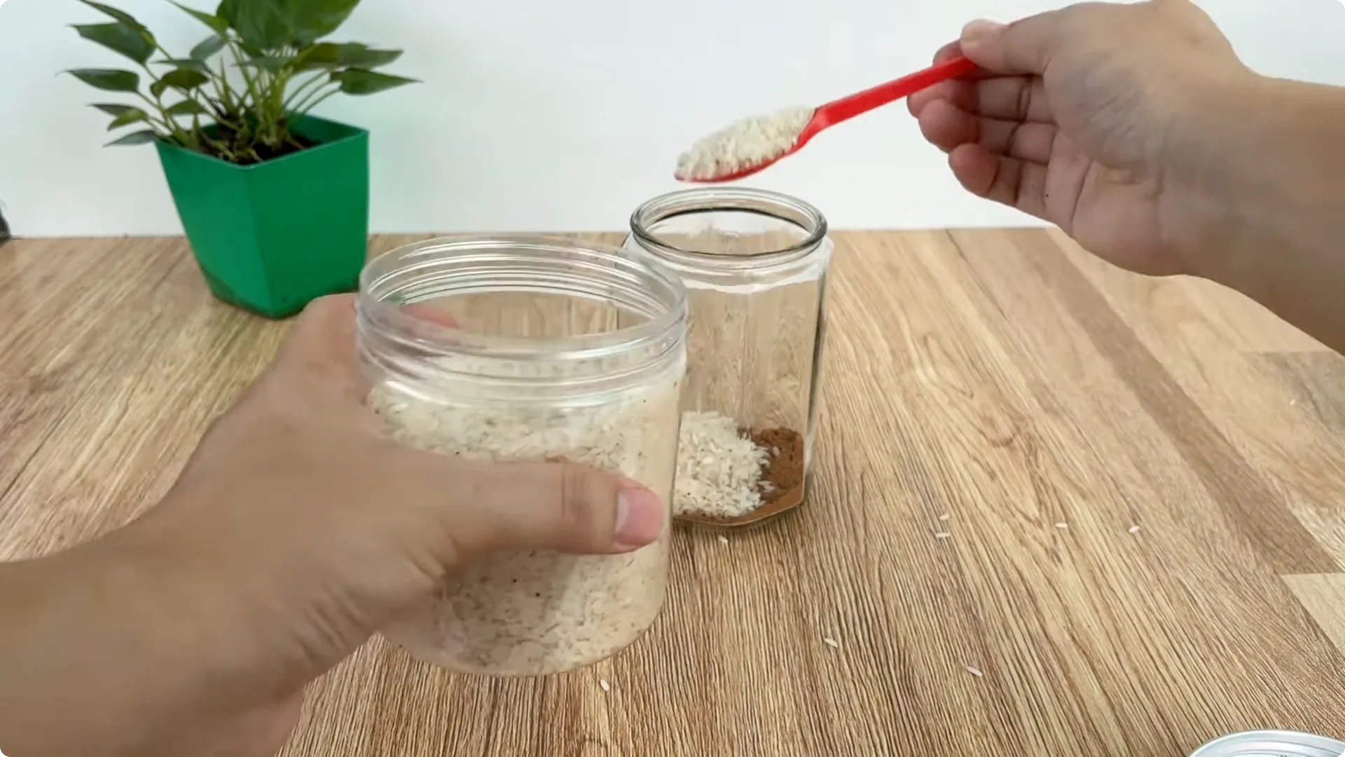 How Just 1 Cup Helps Rose Branches Root and Bloom Year-Round screenshot 1