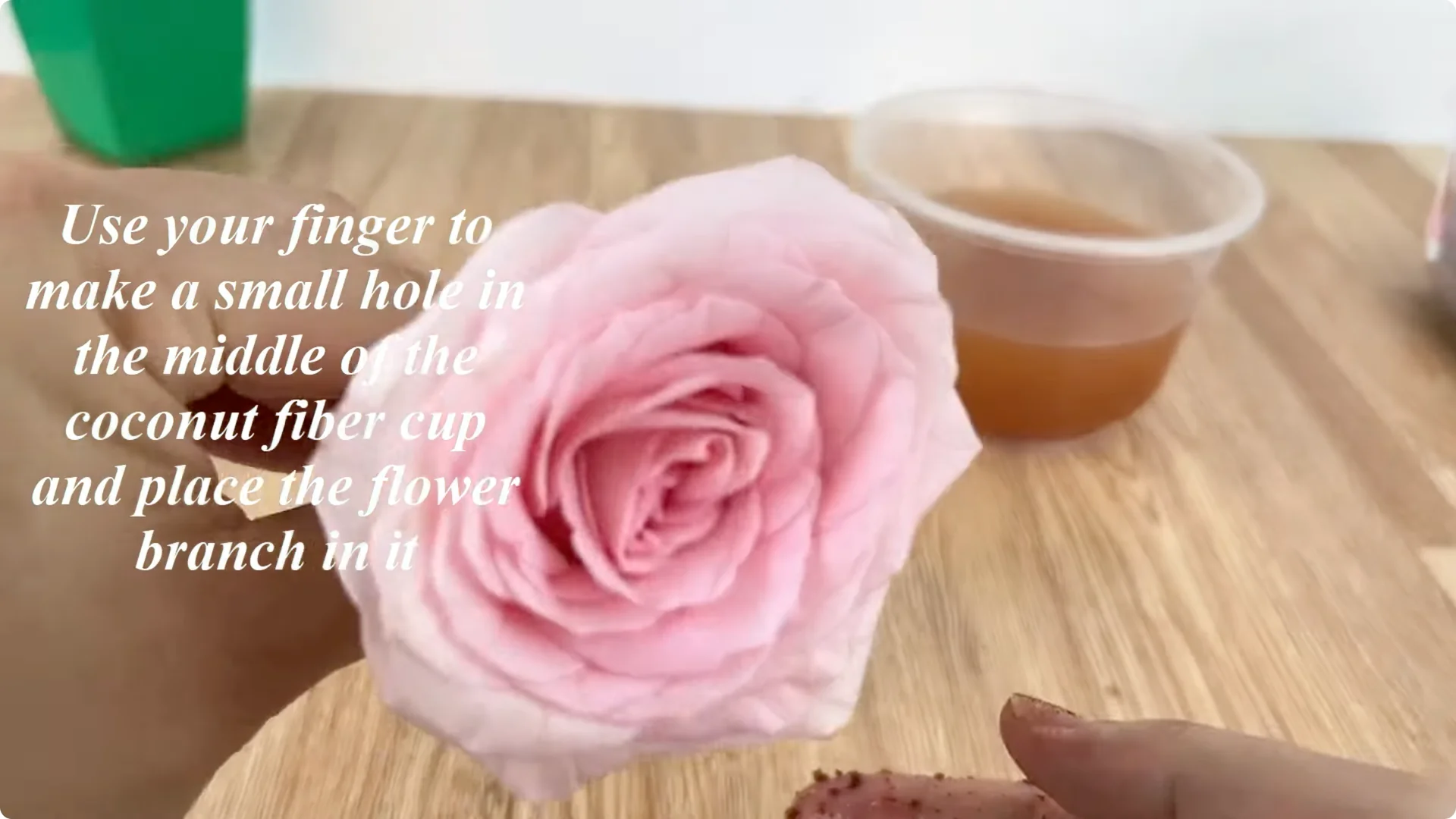 How Just 1 Cup Helps Rose Branches Root and Bloom Year-Round screenshot 5