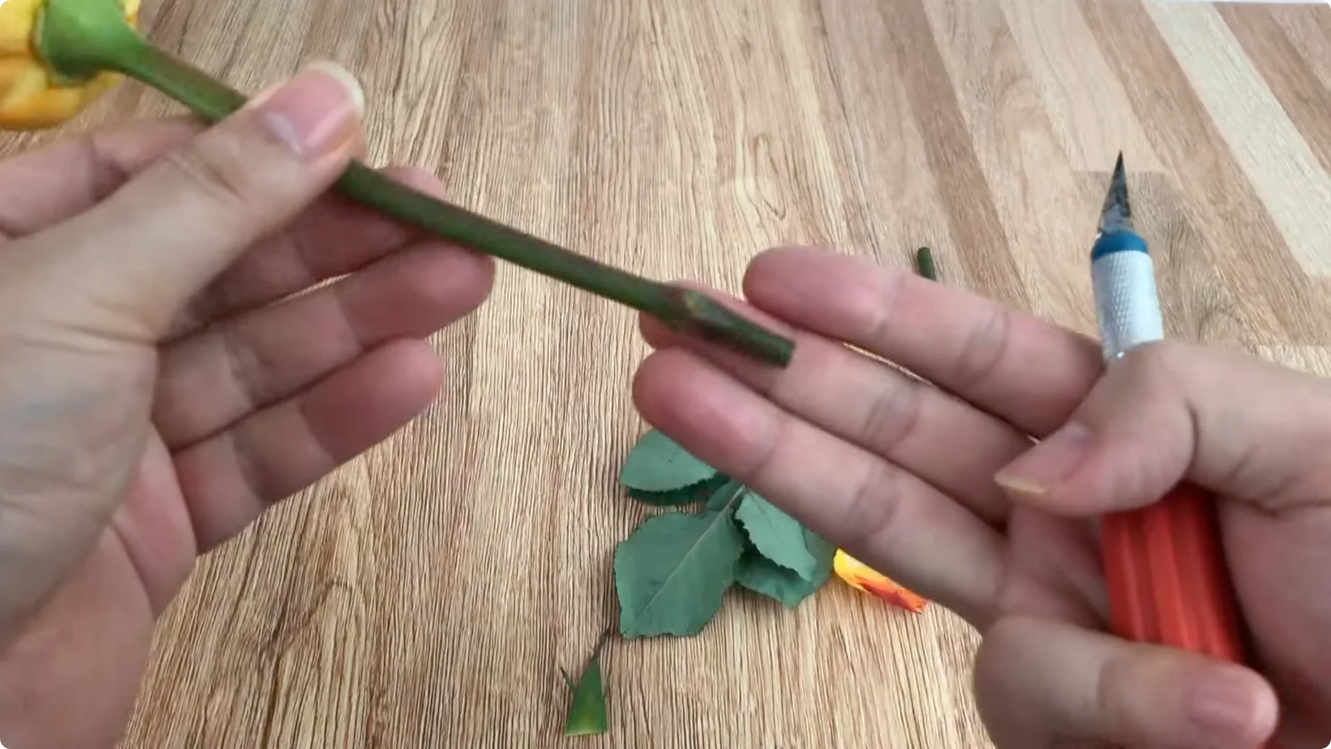 How One Cup Can Grow a Rose Plant Full of Roots and Blooms screenshot 1