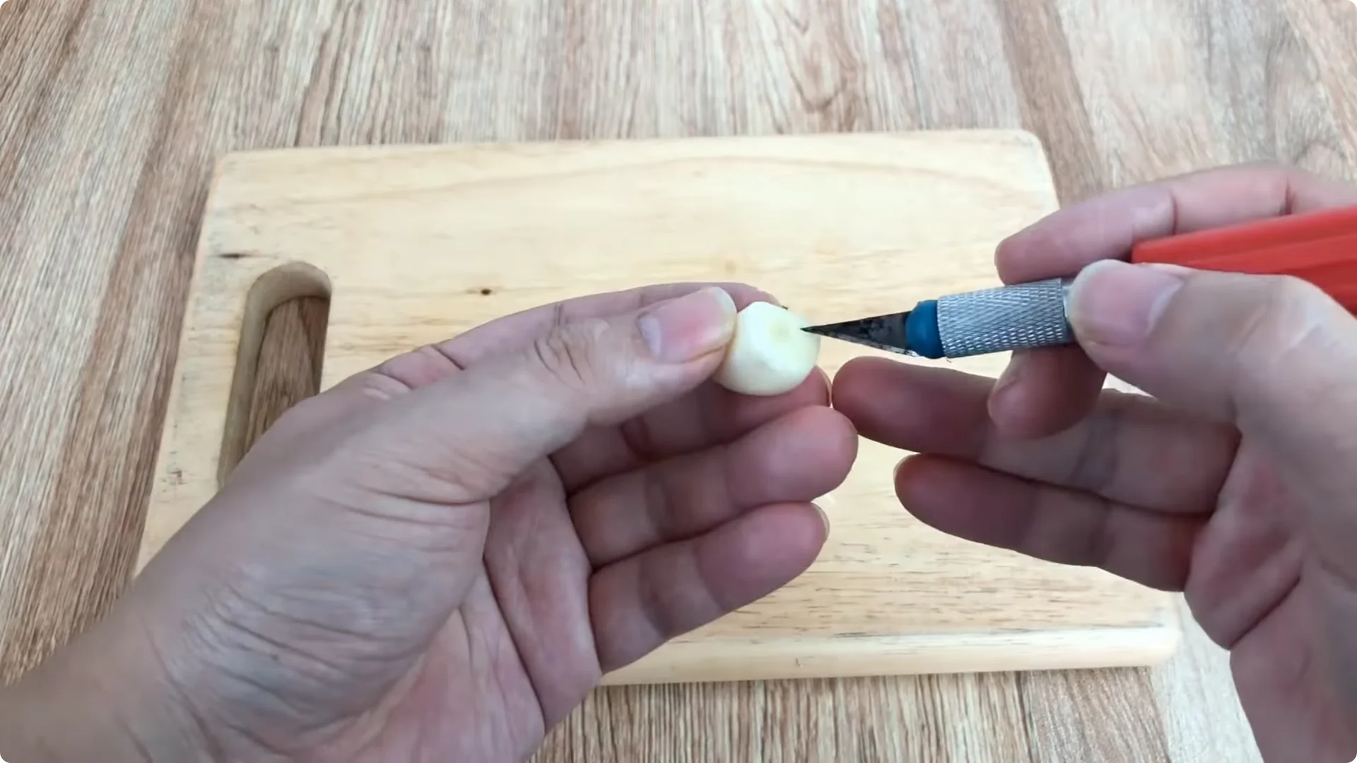 How One Cup Can Grow a Rose Plant Full of Roots and Blooms screenshot 2