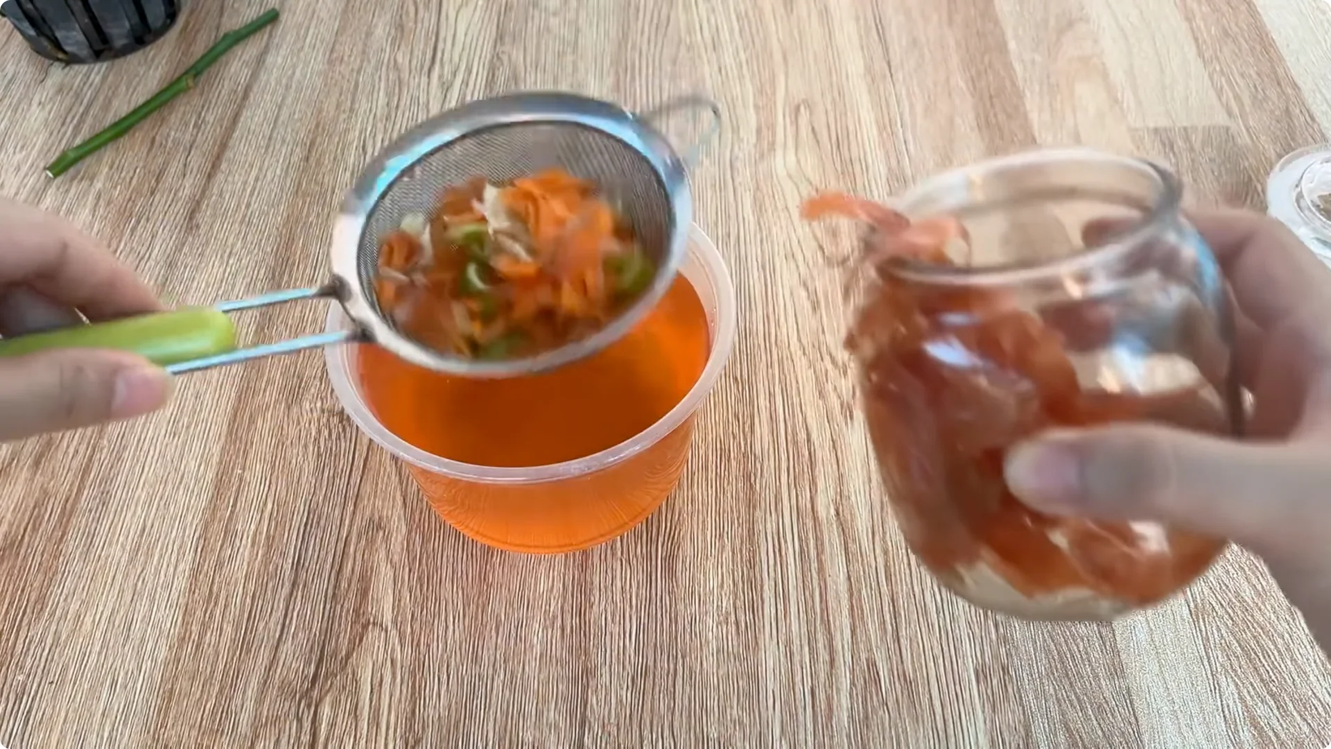 How One Cup Can Grow a Rose Plant Full of Roots and Blooms screenshot 5