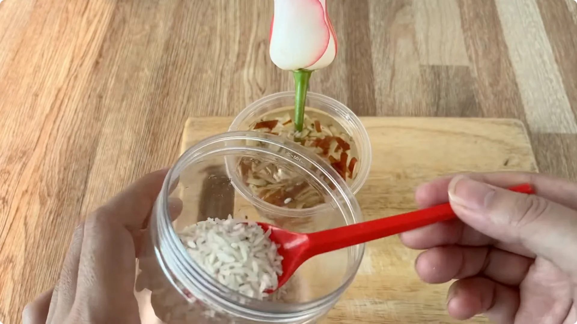 How One Cup Can Grow a Rose Plant with Many Roots and Shoots screenshot 10