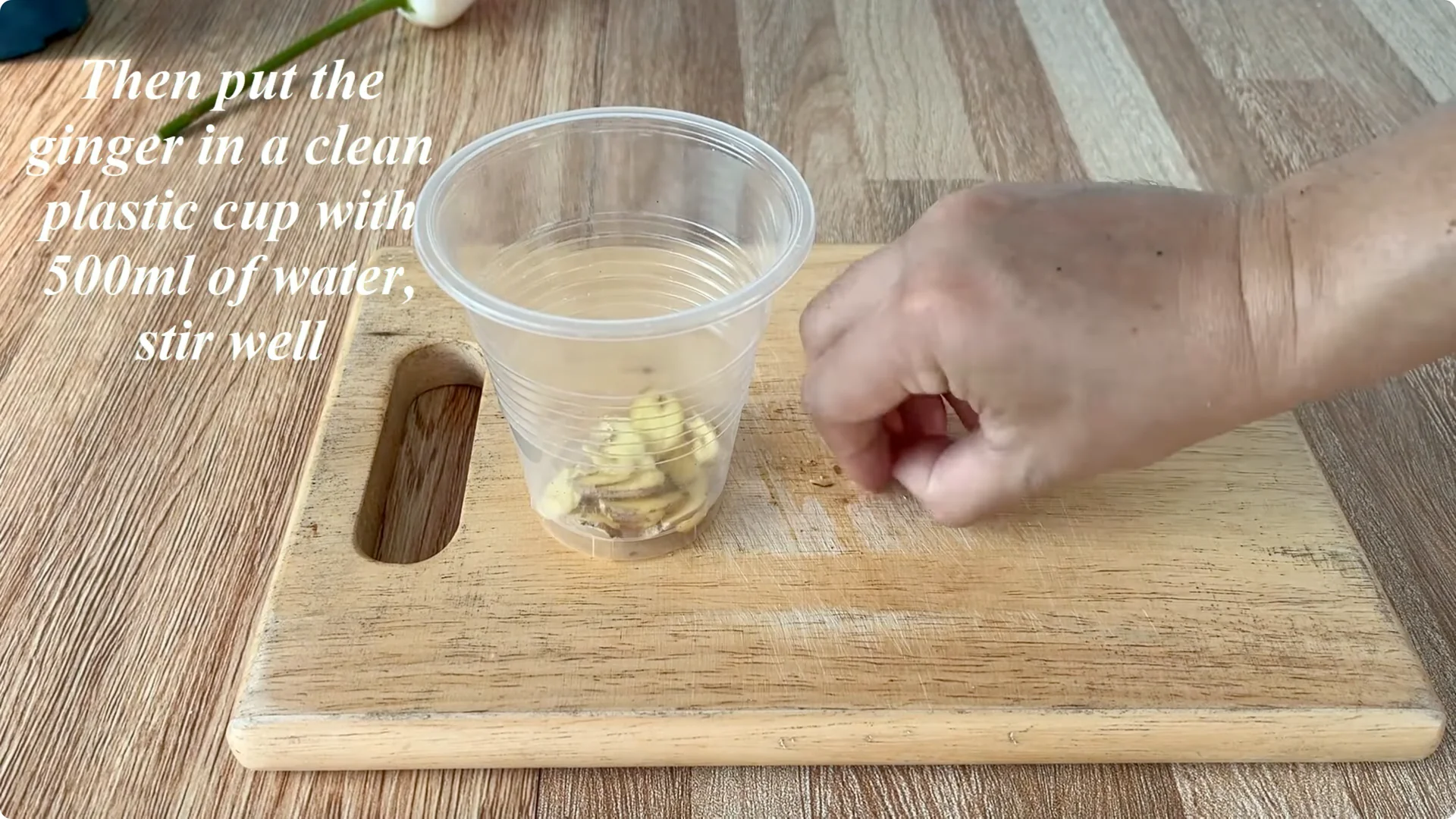 How One Cup Can Grow a Rose Plant with Many Roots and Shoots screenshot 5