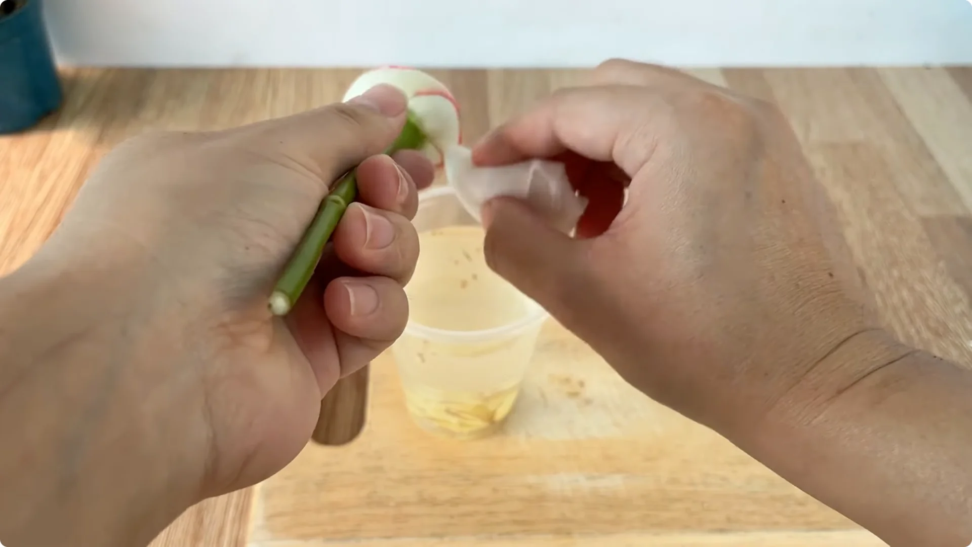 How One Cup Can Grow a Rose Plant with Many Roots and Shoots screenshot 7