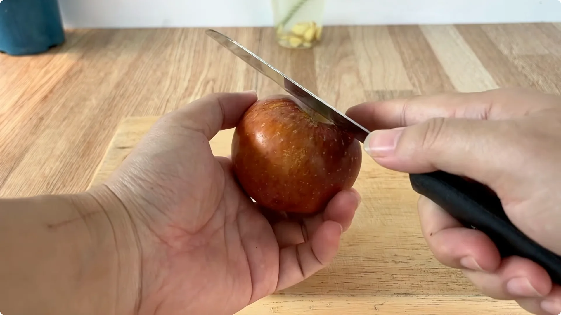 How One Cup Can Grow a Rose Plant with Many Roots and Shoots screenshot 8