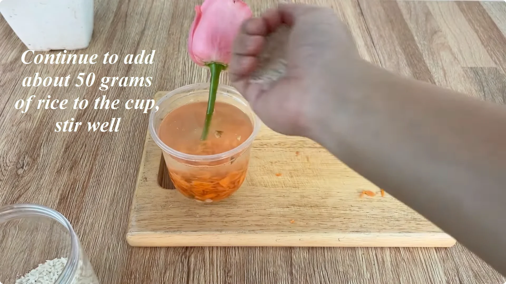 How One Cup Helps Any Rose Branch Root and Bloom Easily screenshot 3