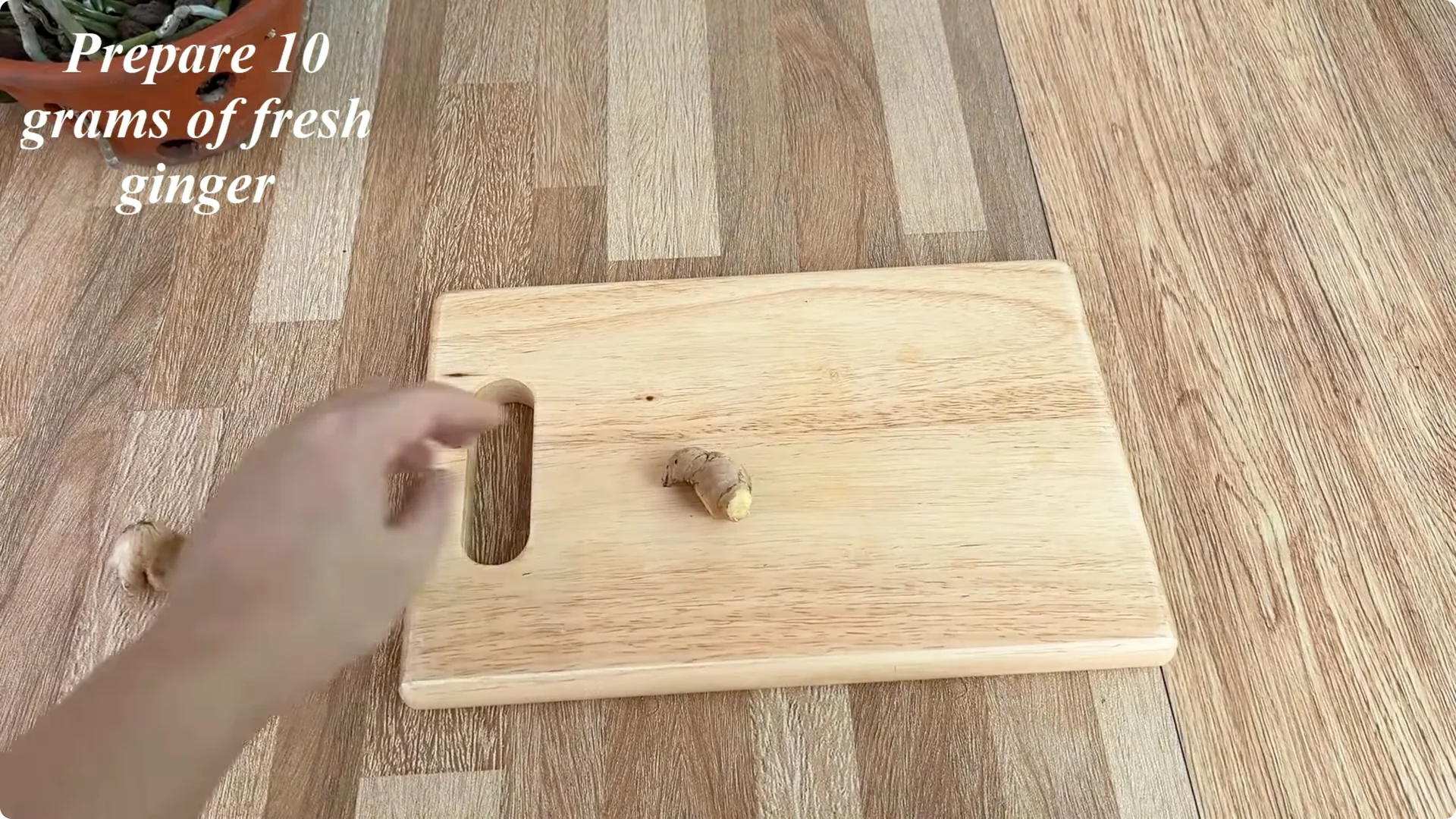 How One Egg Sparked a Rose Branch to Bloom and Root Deep screenshot 1