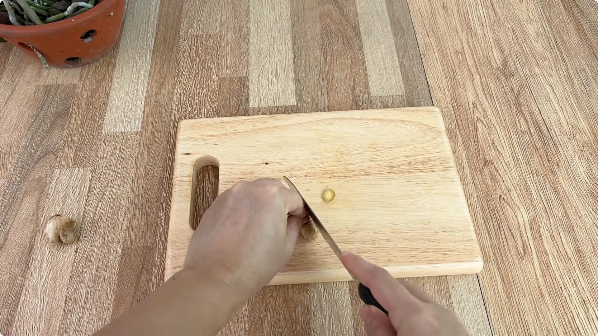 How One Egg Sparked a Rose Branch to Bloom and Root Deep screenshot 2