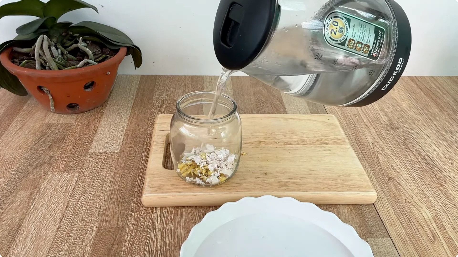 How One Egg Sparked a Rose Branch to Bloom and Root Deep screenshot 3